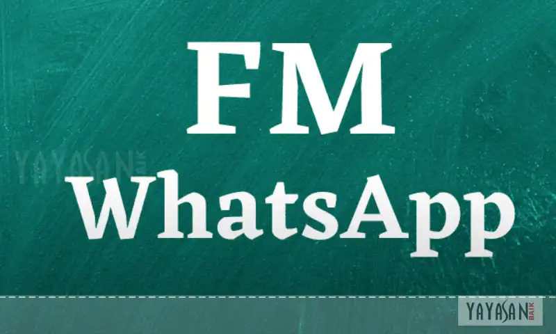 Apa Itu FM WhatsApp Apk Mod