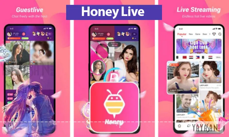 aplikasi honey live